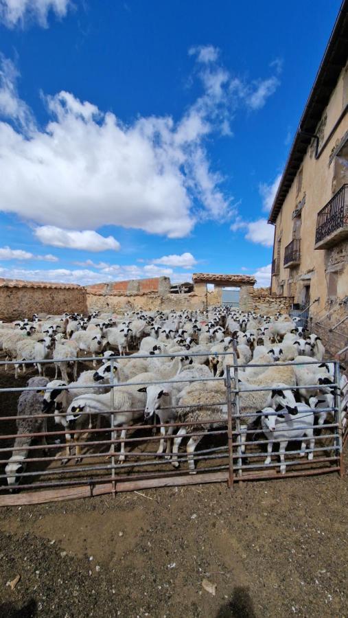 La Casa Del Bosque Villa Alcalá de la Selva Esterno foto