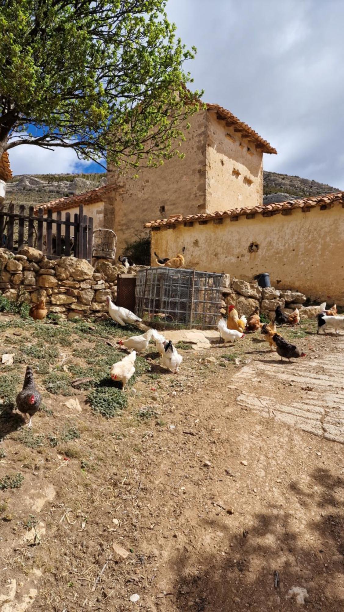 La Casa Del Bosque Villa Alcalá de la Selva Esterno foto